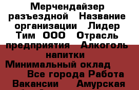 Мерчендайзер разъездной › Название организации ­ Лидер Тим, ООО › Отрасль предприятия ­ Алкоголь, напитки › Минимальный оклад ­ 27 000 - Все города Работа » Вакансии   . Амурская обл.,Архаринский р-н